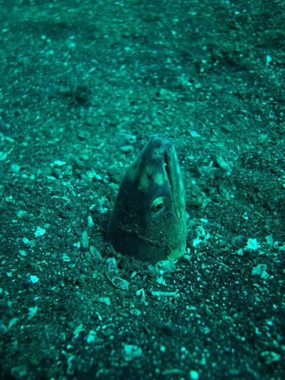 Da will noch jemand Hallo sagen!