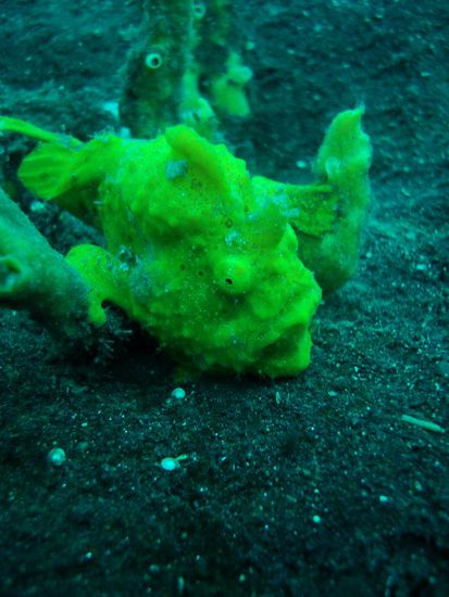 Schon wieder eine neue Farbe!