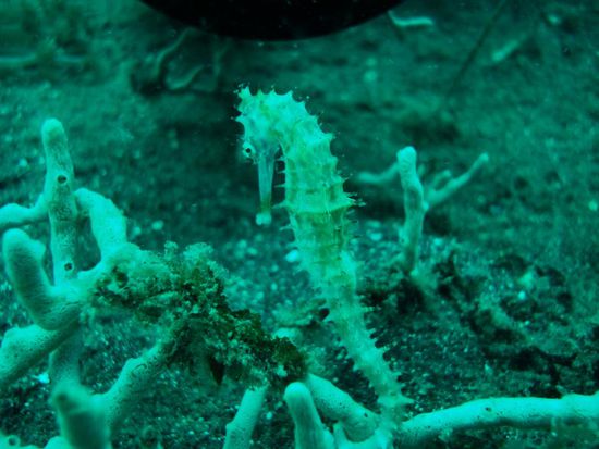 Lass mich in ruhe...