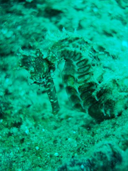 Es wollte nicht so recht in die Kamera gucken.