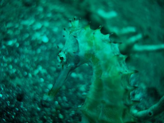 ...doch Marco gab nicht auf