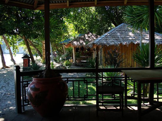 Sulawesi Dive Quest auf Lembeh