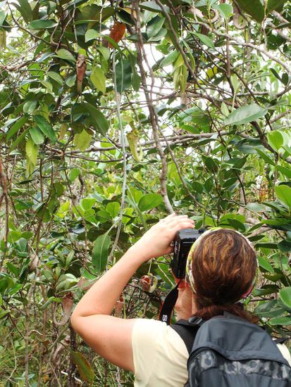 Immer entdeckt man wieder etwas Neues!