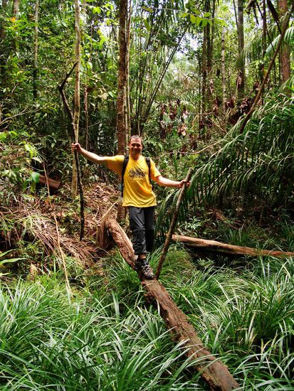 Balanceakt ueber den Baumstamm...