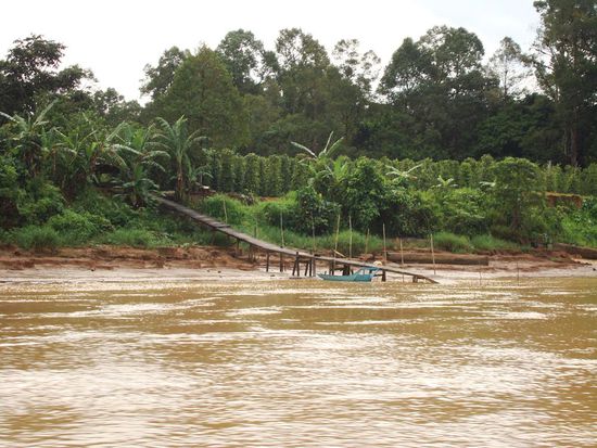 einer der zahlreichen, kriminellen Stege die vom Ufer zum Wasser fuehren