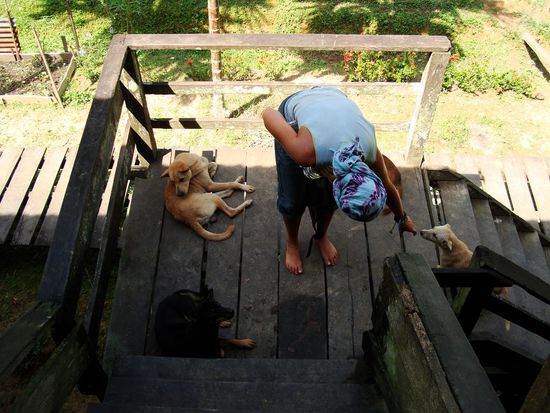 Dane hat wieder Hundis entdeckt