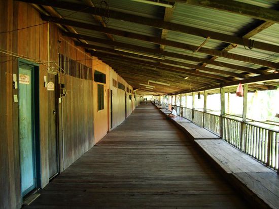 das ist doch wirklich ein Longhouse, oder nicht? Nur leider alle bei der Arbeit...