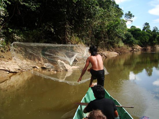 hier koennte noch ein Fischli versteckt sein...