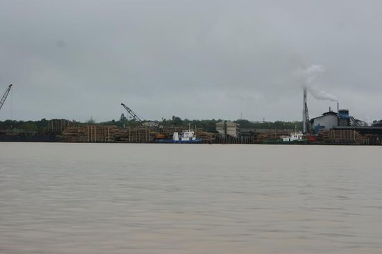 Hier landet der Dschungel von Sarawak 