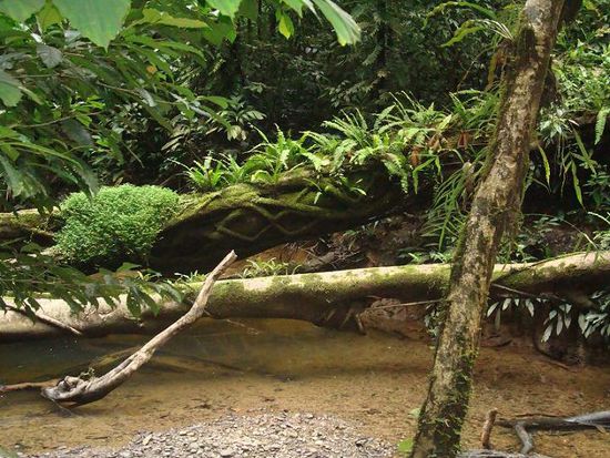 Die Natur hier ist einmal mehr ueberwaeltigend schoen!