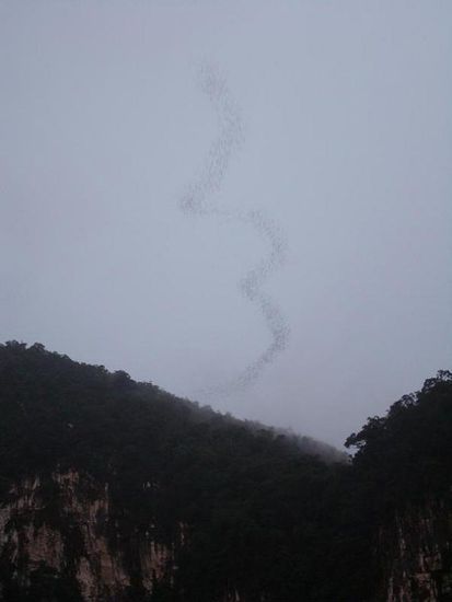 Echt genial! Und es wollte nicht mehr aufhoeren.
