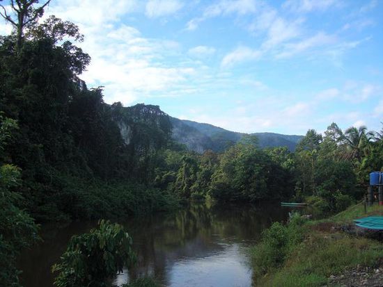Aussicht vo unserem Dschungelhotel 