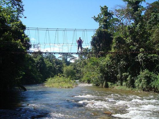 Fotoshooting im Dschungel!