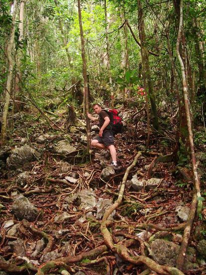 ... und ueber die rutschigen Wurzeln!
