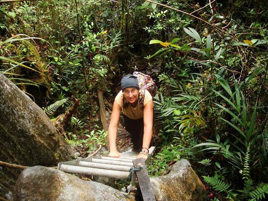 ... ueber die vielen Leitern...