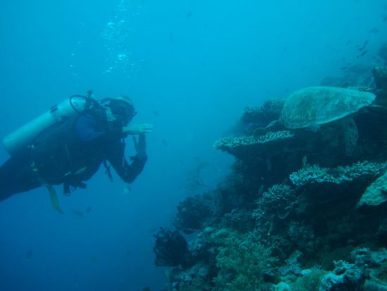 Natuerlich war einer dieser absolut spitzenmaessigen Dives Marcos 100ster Tauchgang! Er musste sich nirgends festhalten und konnte sogar mit einer Schildkroete zusammen posieren 
