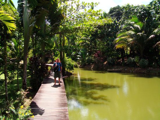 Ankunft in Sepilok, war auch noch schoen dort 