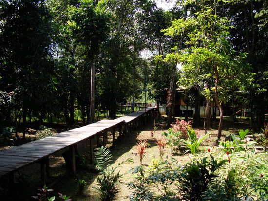 Steg zu unserer Huette