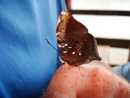 Da wollte jemand mitessen...