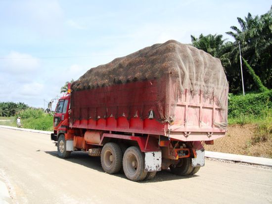 Palmoeltransporter
