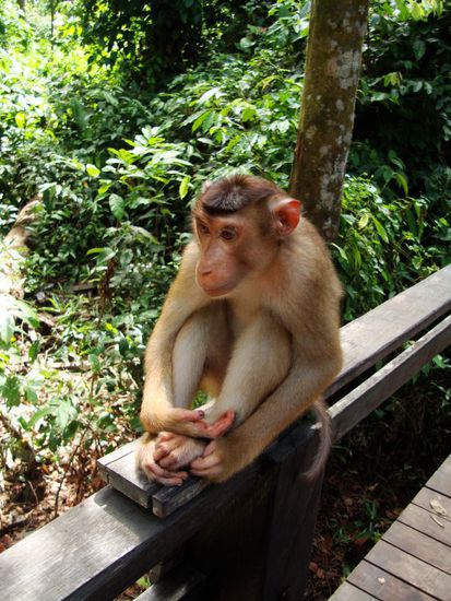 mmmhhh, noch laenger warten