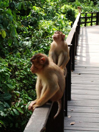 wann geht es denn los?