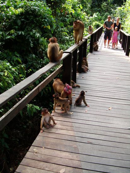 da hat sich einer schon den Arsch wundgesessen, vor lauter warten 