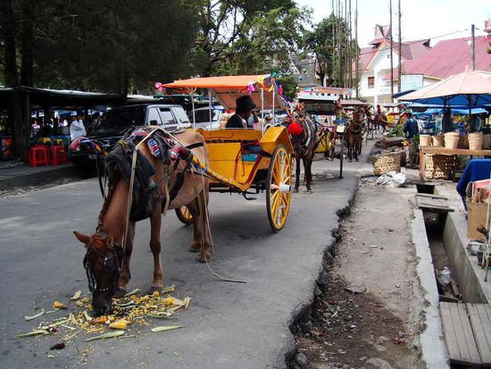 Die Kutsche habt ihr wohl noch nicht, oder mami??? 