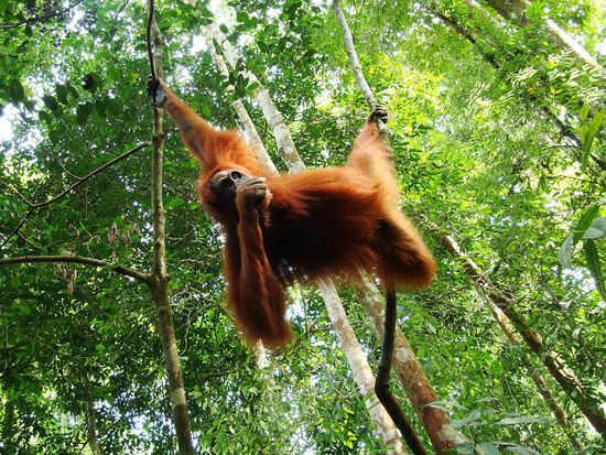 Sieht doch gemuetlich aus!