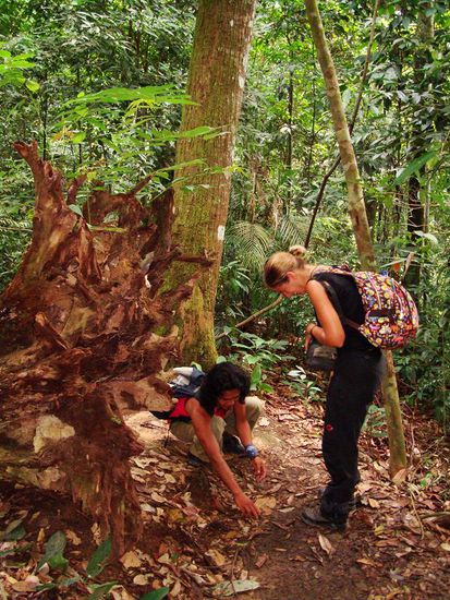 Jojon zeigt Dane den unterschied zwischen den Ameisen!