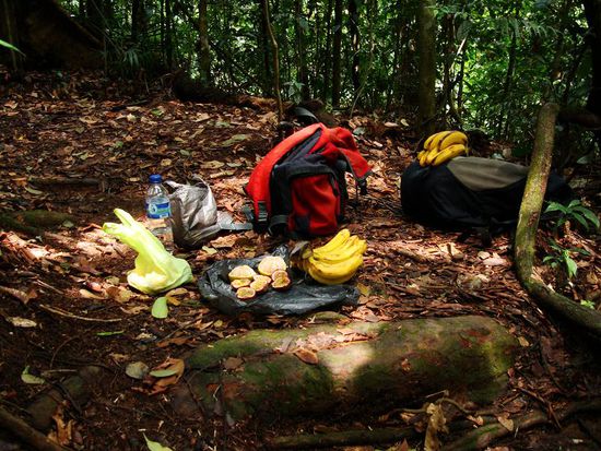 Teabreak mit leckeren Fruechten!