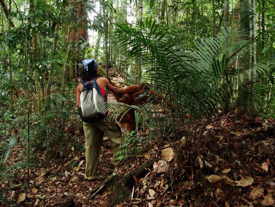 Bestechung im Dschungel! Wegzoll fuer Mina!