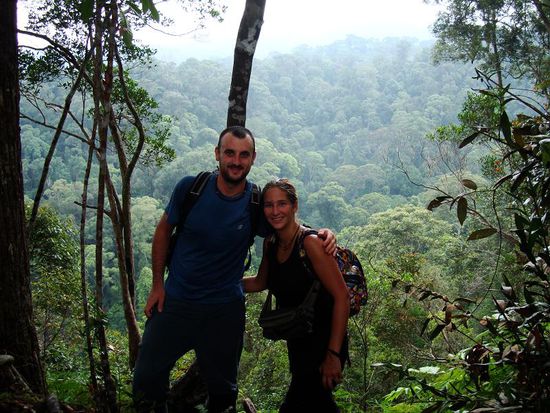 Panoramafoto im Dschungel