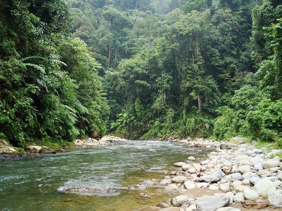 Da runter wollen wir...