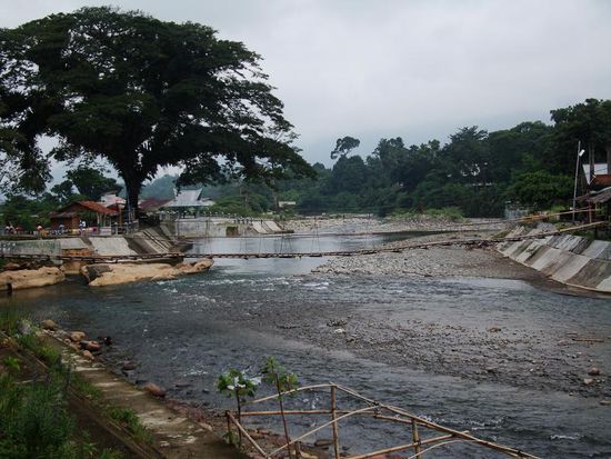 Zurueck in Bukit Lawang!