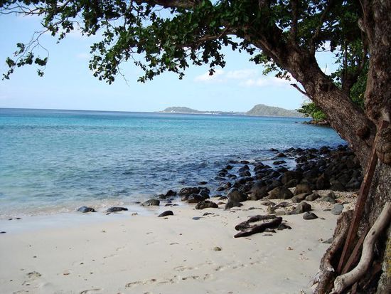 Unser Hausstrand mit dem Riff gleich vor der Tuere!