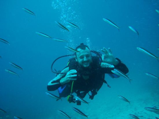 Was ist das fuer ein durchgeknallter Taucher?