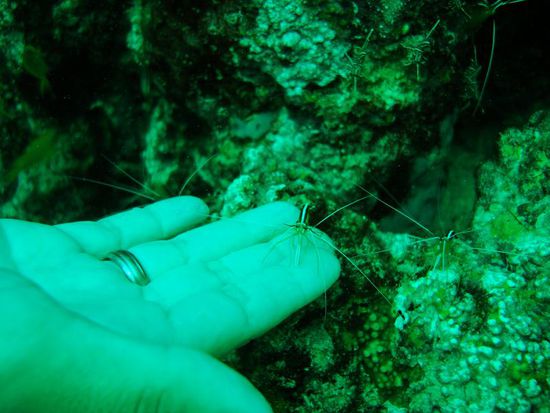 Dane an der Cleaner-Station.