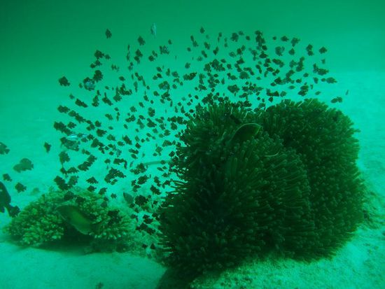 Meisterschuss von Marco...oder so aehnlich!