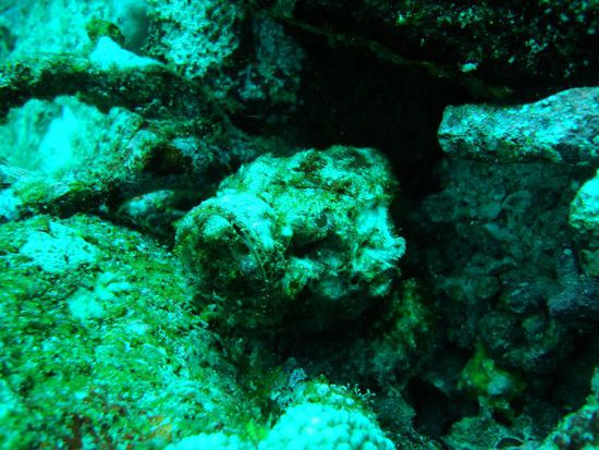 Zum Glueck sass der nicht auf Marcos Felsen!