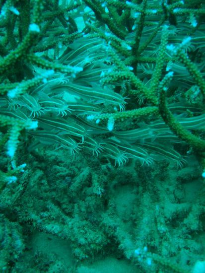 Die waren auch suess