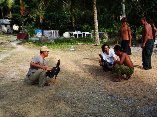 Die Haehne werden in Position gebracht.