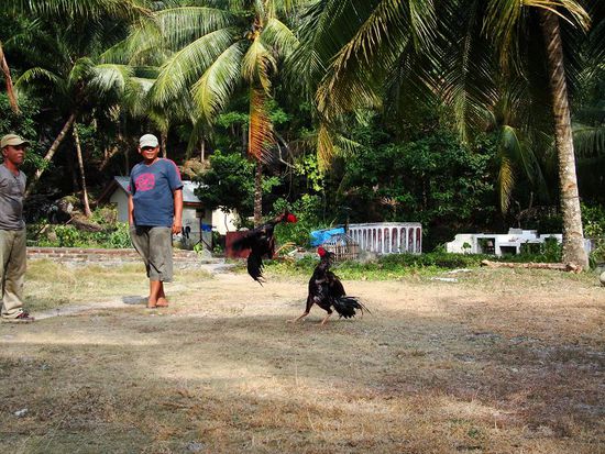 Da geht es aber zur Sache!