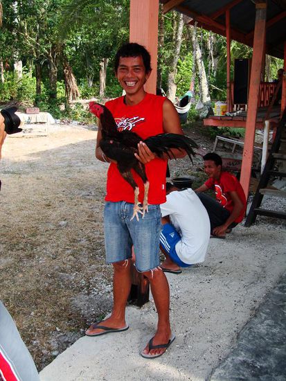 Aris mit seinem Kampfhahn!