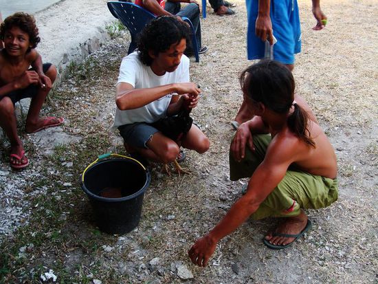 Nach der ersten Runde wird der Hahn mit Wasser gekuehlt und verpflegt!