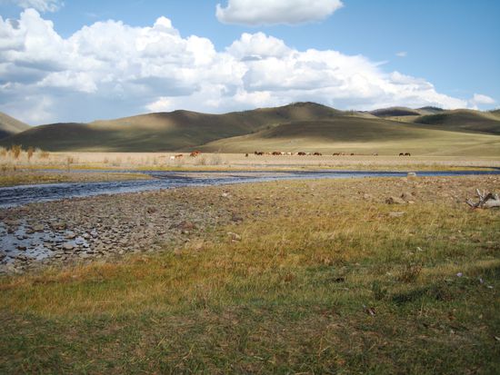 An solchen Plaetzen ein Zelt aufzuschlagen ist fuer jeden Outdoor-ethusiasten ein Traum..... auch Nallo2 hatte Spass daran, ganz sicher...