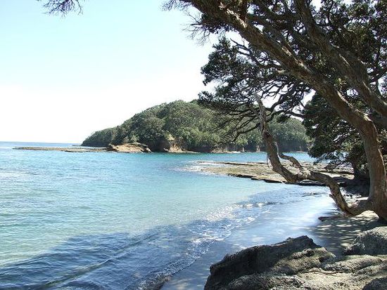 Goat Island