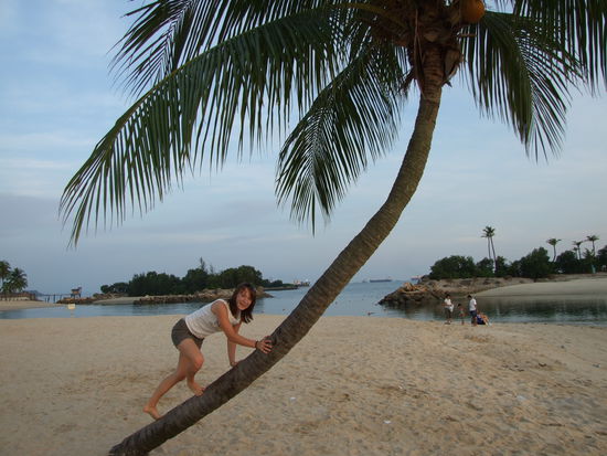 Bei Sandy sah das irgendwie eleganter aus...