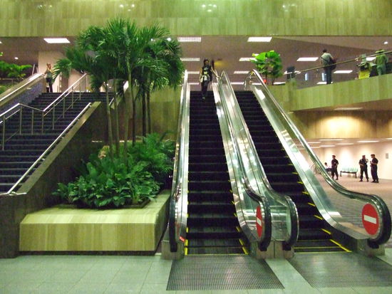 Schon auf dem Flughafen Palmen...