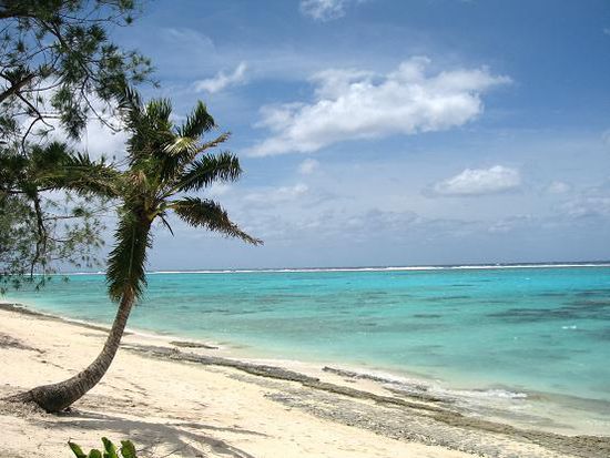 Fruits of Rarotonga